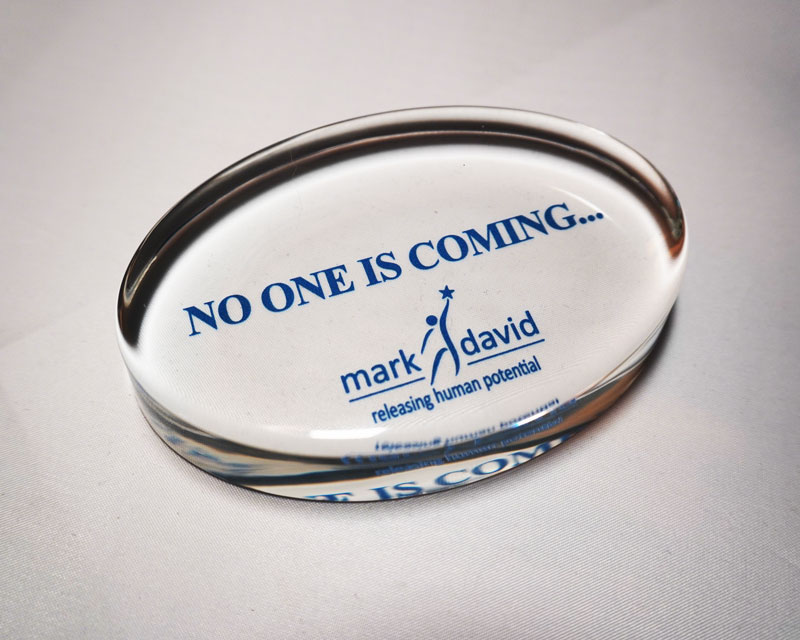 No One Is Coming Paperweight